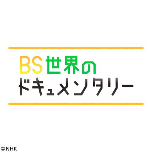 世界のドキュメンタリー選「シャドー・スカラーズ　後編　影のライター」🈔🈑