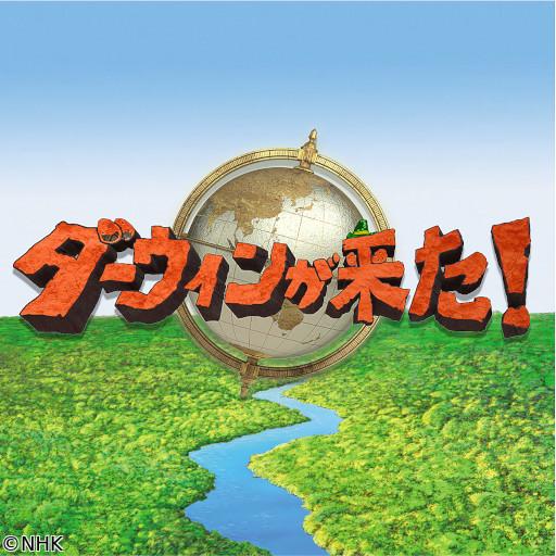 ダーウィンが来た！「ホッキョクグマに大異変！謎の新行動」🈖🈑