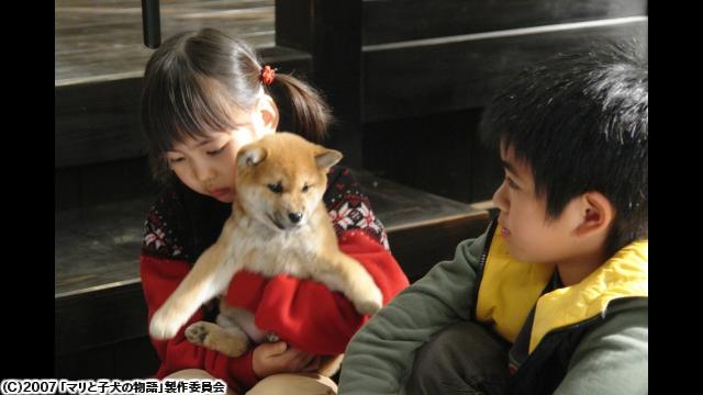 🈙マリと子犬の物語🅍🈑