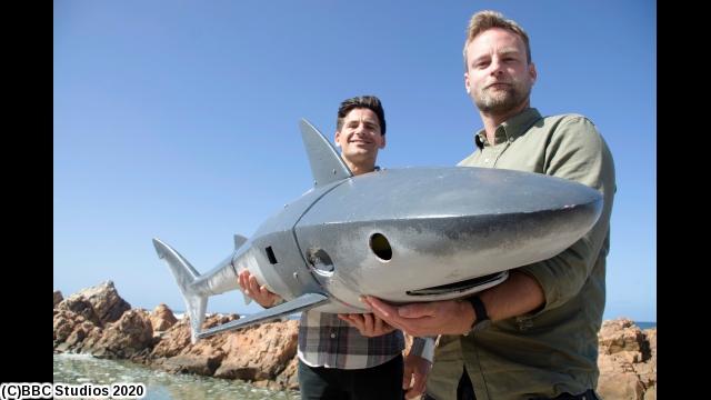 関 智一 セキ トモカズ の出演番組一覧 番組表 Gガイド 放送局公式情報満載