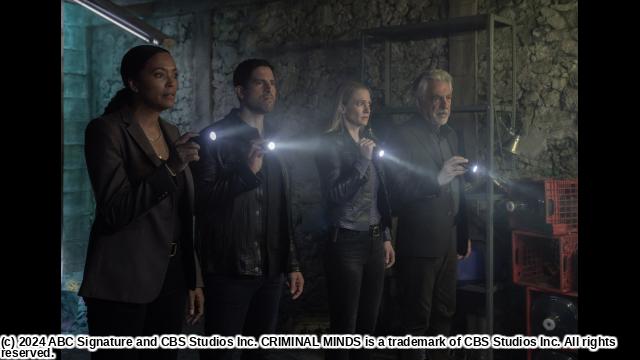 🈠クリミナル・マインド１７　＃９　スターズ＆ストライプス🈔🈑