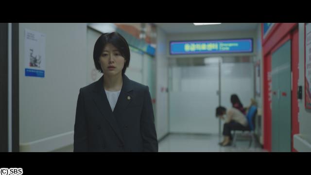 🈠チャン・ナラ主演「グッド・パートナー」　＃３（字幕版）