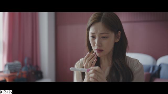 🈠チャン・ナラ主演「グッド・パートナー」　＃８（字幕版）