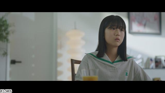 🈠チャン・ナラ主演「グッド・パートナー」　＃１０（字幕版）