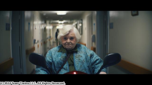 🈠🈙テルマがゆく！９３歳のやさしいリベンジ（字幕版）🅍