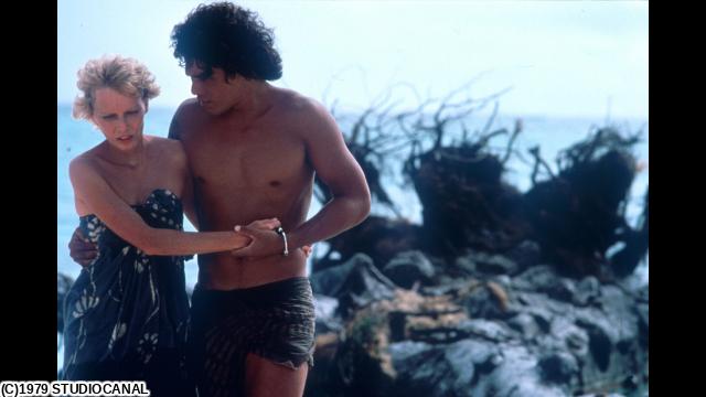 🈙ハリケーン（１９７９）（字幕版）