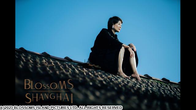 🈠ウォン・カーウァイ監督「繁花」　＃１３　１９８７年（字幕版）