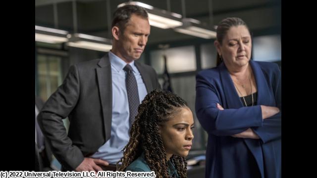 ＬＡＷ　＆　ＯＲＤＥＲ　新章　＃３　インフルエンサーの悲劇（字幕版）