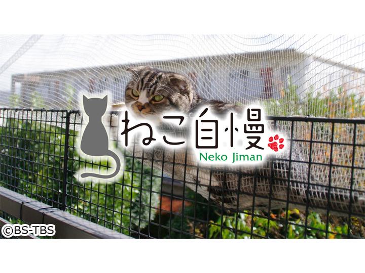 🈑ねこ自慢▼温泉地・箱根で馬場園とチュート徳井が猫巡り！▼動物園に福を呼んだ猫