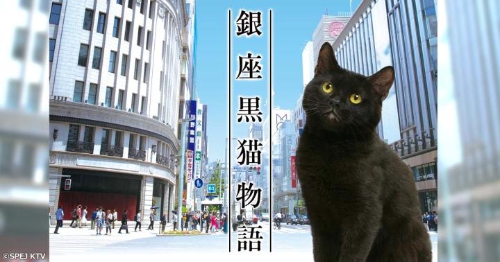 銀座黒猫物語 第８話「中村活字」のサムネイル