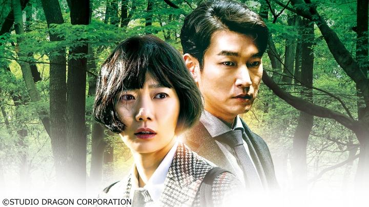 韓国ドラマ・秘密の森～深い闇の向こうに～▼第１０話