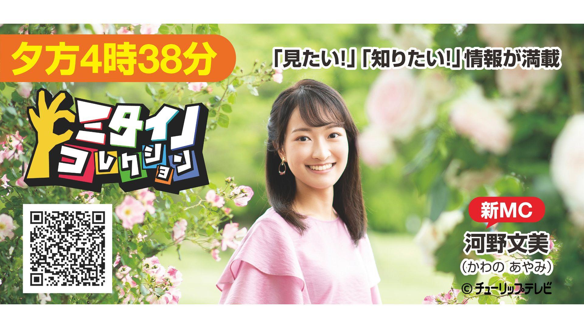 ミタイノコレクション