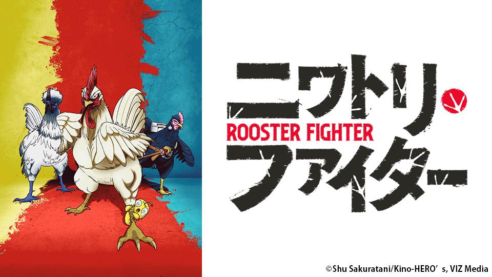 🈟アニメ　ニワトリ・ファイター　第一羽