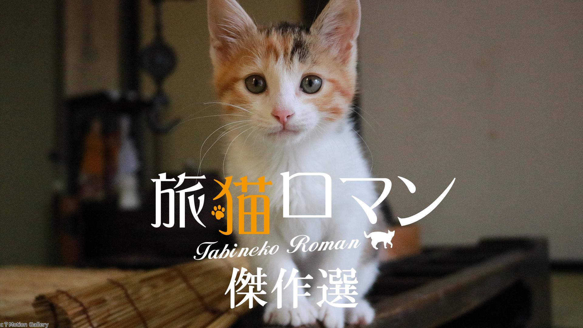 『旅猫ロマン　傑作選』▽魅惑の伊豆半島