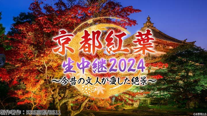 🈢京都紅葉生中継2024「今昔の文人が愛した絶景」