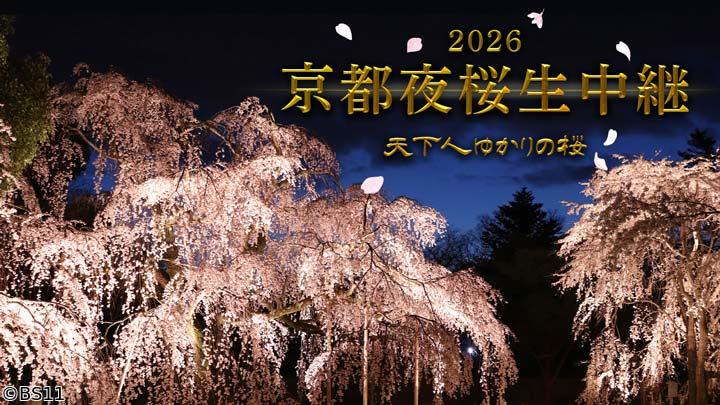 🈢京都夜桜生中継「天下人の桜」世界遺産・醍醐寺、二条城、北野天満宮、建勲神社ほか
