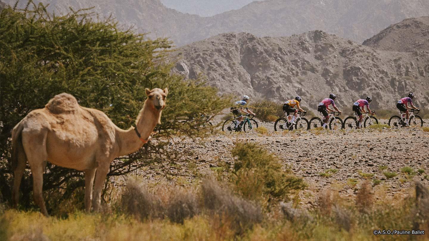 ツアー・オブ・オマーン2026 ハイライト Cycle*