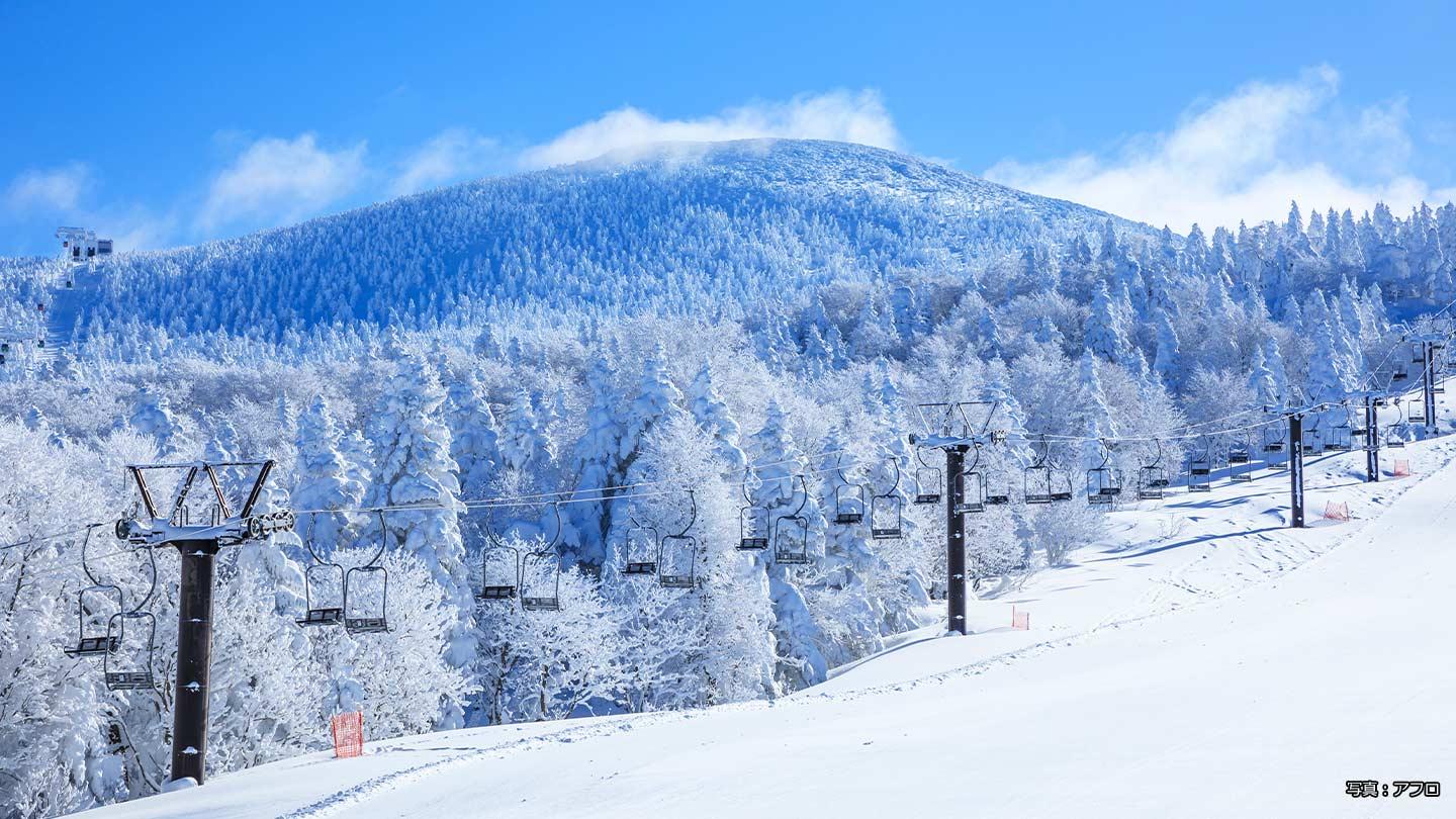 アルペンスキーU16 世界への挑戦 Season 8：悔しさから始まる成長