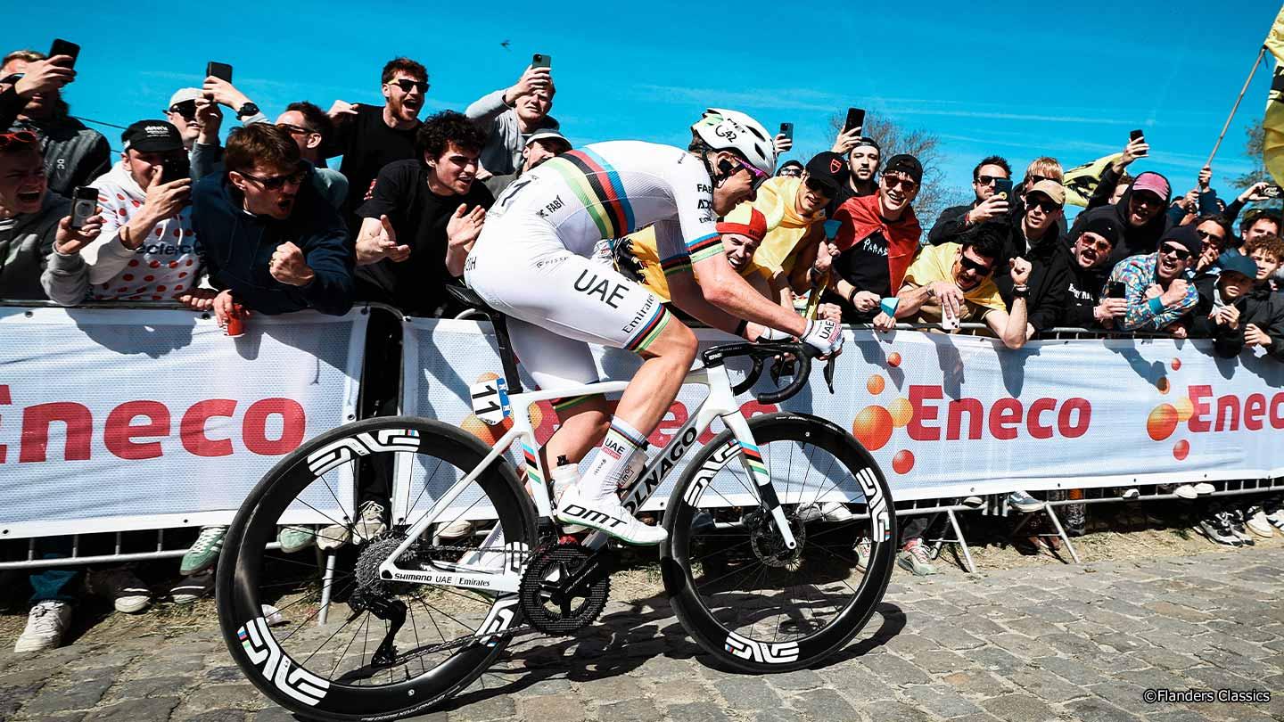 ロンド・ファン・フラーンデレン2026 Cycle*