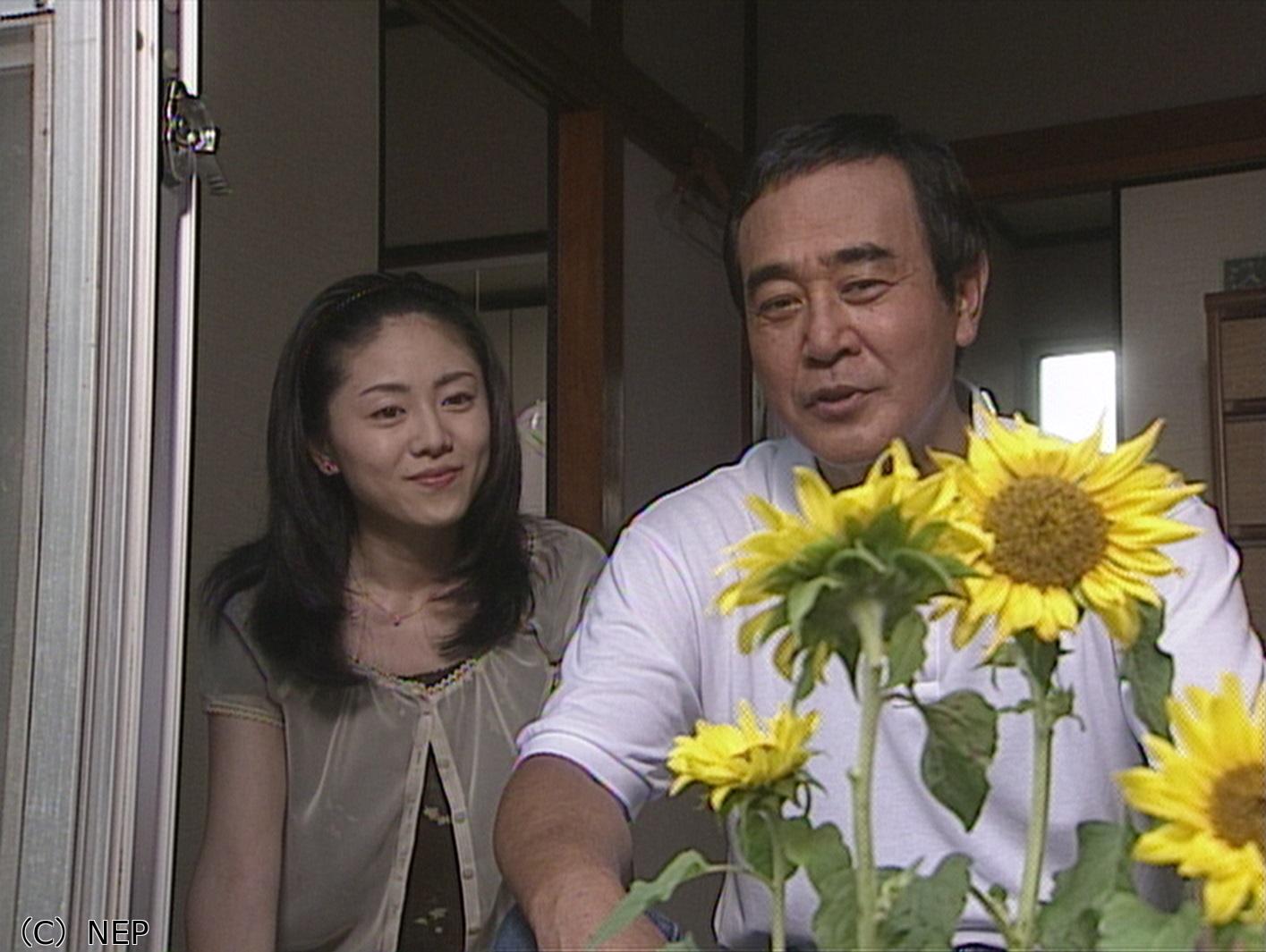 タクシードライバーの推理日誌　黒いひまわりの女🈑