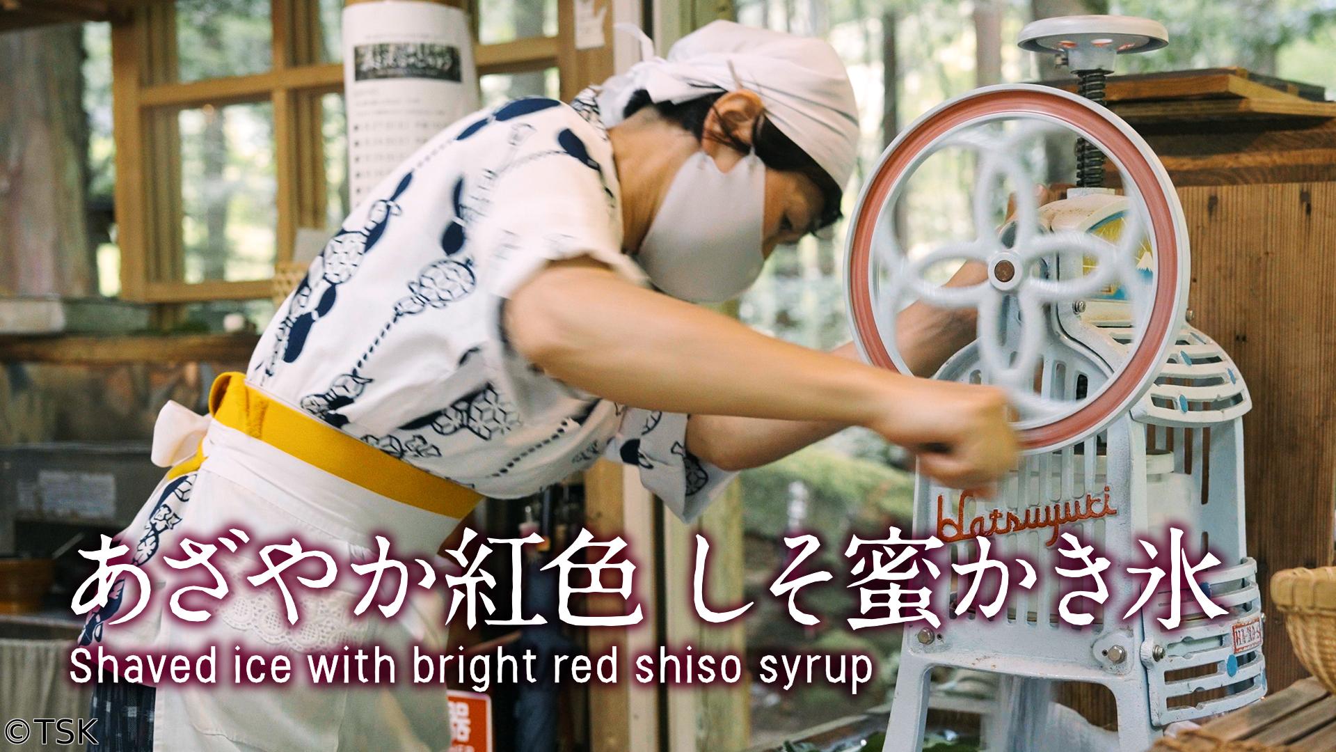 森と渓谷のごちそう　＃５