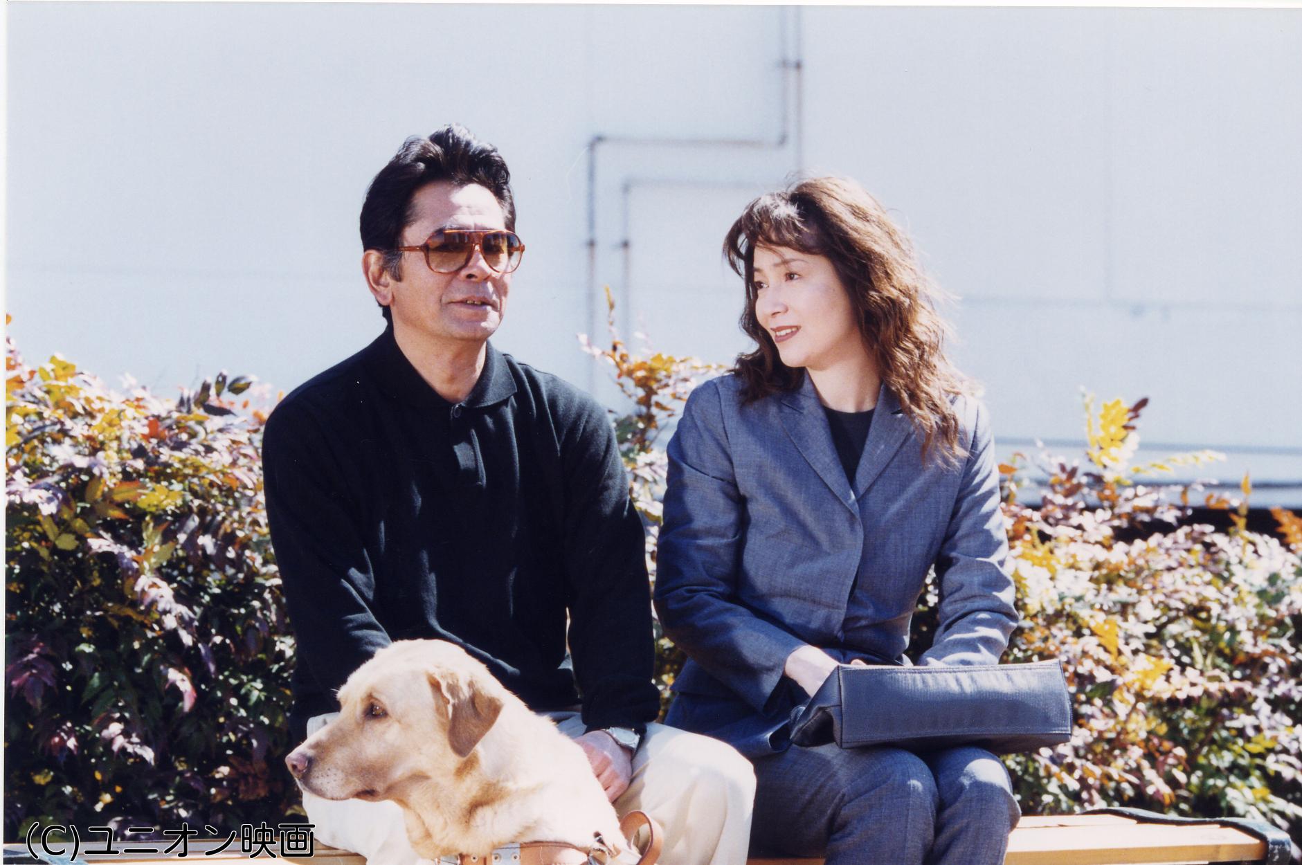 盲人探偵・松永礼太郎１１　香水迷路🈑