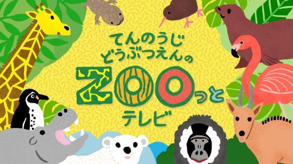 てんのうじどうぶつえんのＺＯＯっとテレビ　＃１１