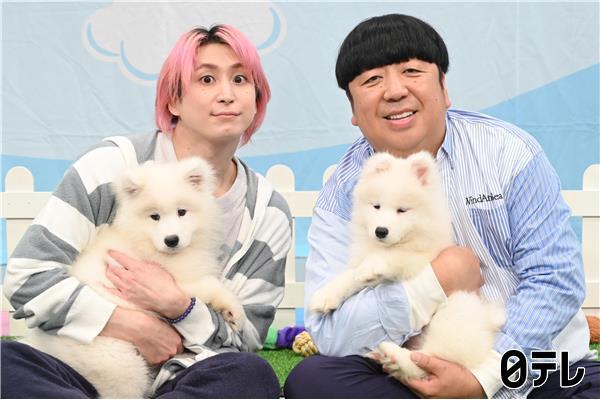 サクサクヒムヒム☆見たら癒やされまくる神回！真っ白もふもふ「サモエド」を深掘り🈑