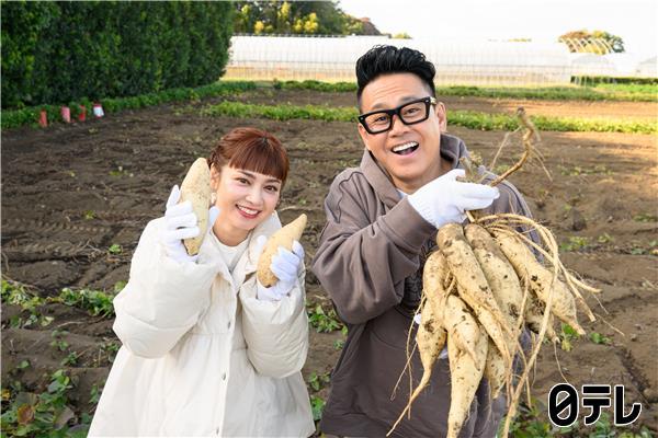 満天☆青空レストラン　白いさつまいも「きみまろこ」ねっとり食感で今年デビュー🈖🈑