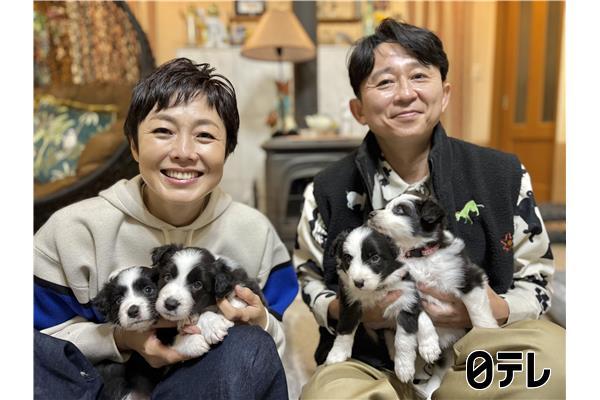 嗚呼‼みんなの動物園４時間ＳＰ🈑▽池崎×保護猫ついに最終回！有吉×赤ちゃん犬