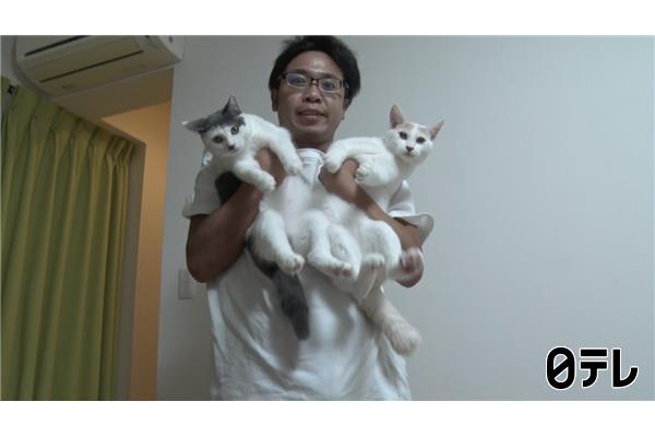 嗚呼‼みんなの動物園2時間SP🈑ティモンディ前田新預かり始動＆池崎から重大発表