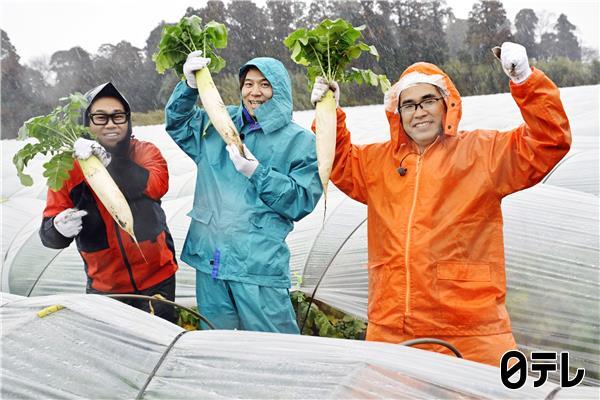 満天☆青空レストラン「姉崎大根」みずみずしく、衝撃の甘さ！千葉県市原市で発見🈖🈑