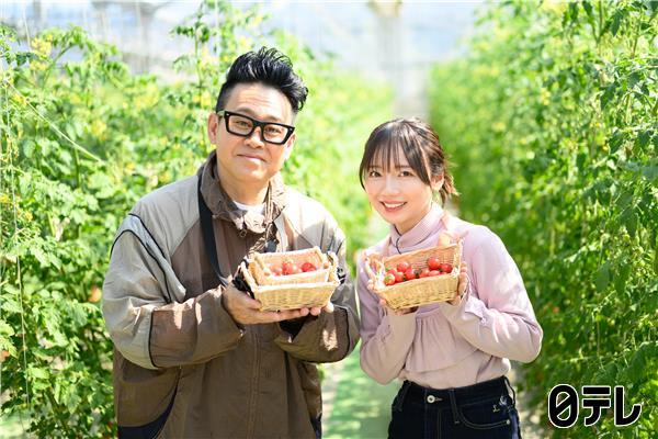 満天☆青空レストラン　赤く輝く超新食感トマト「プチぷよ」を三重県で発見！🈖🈑