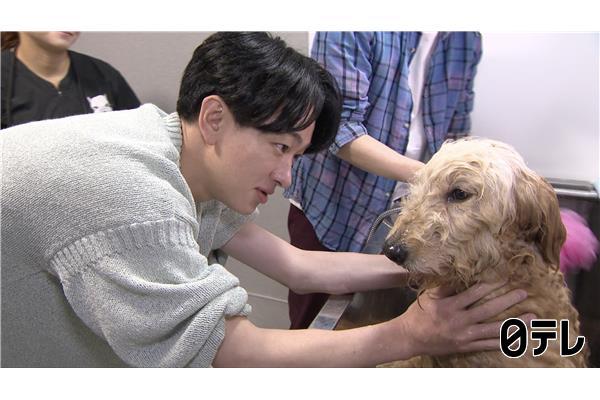 嗚呼‼みんなの動物園🈑ティモンディ前田×激かわ子猫の人なれに津田健次郎参戦！