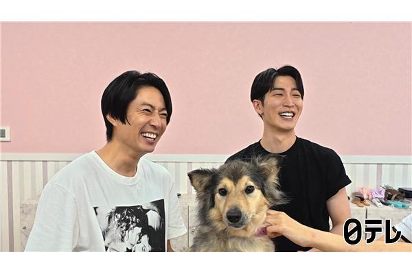 嗚呼‼みんなの動物園2時間SP🈑ビビり＆シャー猫急成長＆Snow Man参戦SP