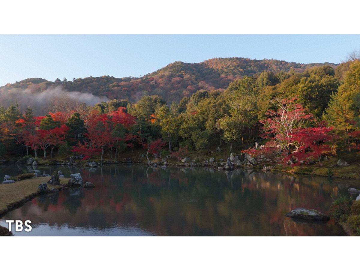 世界遺産「紅葉の絶景をめぐる　日本の世界遺産」🈖🈑🈓