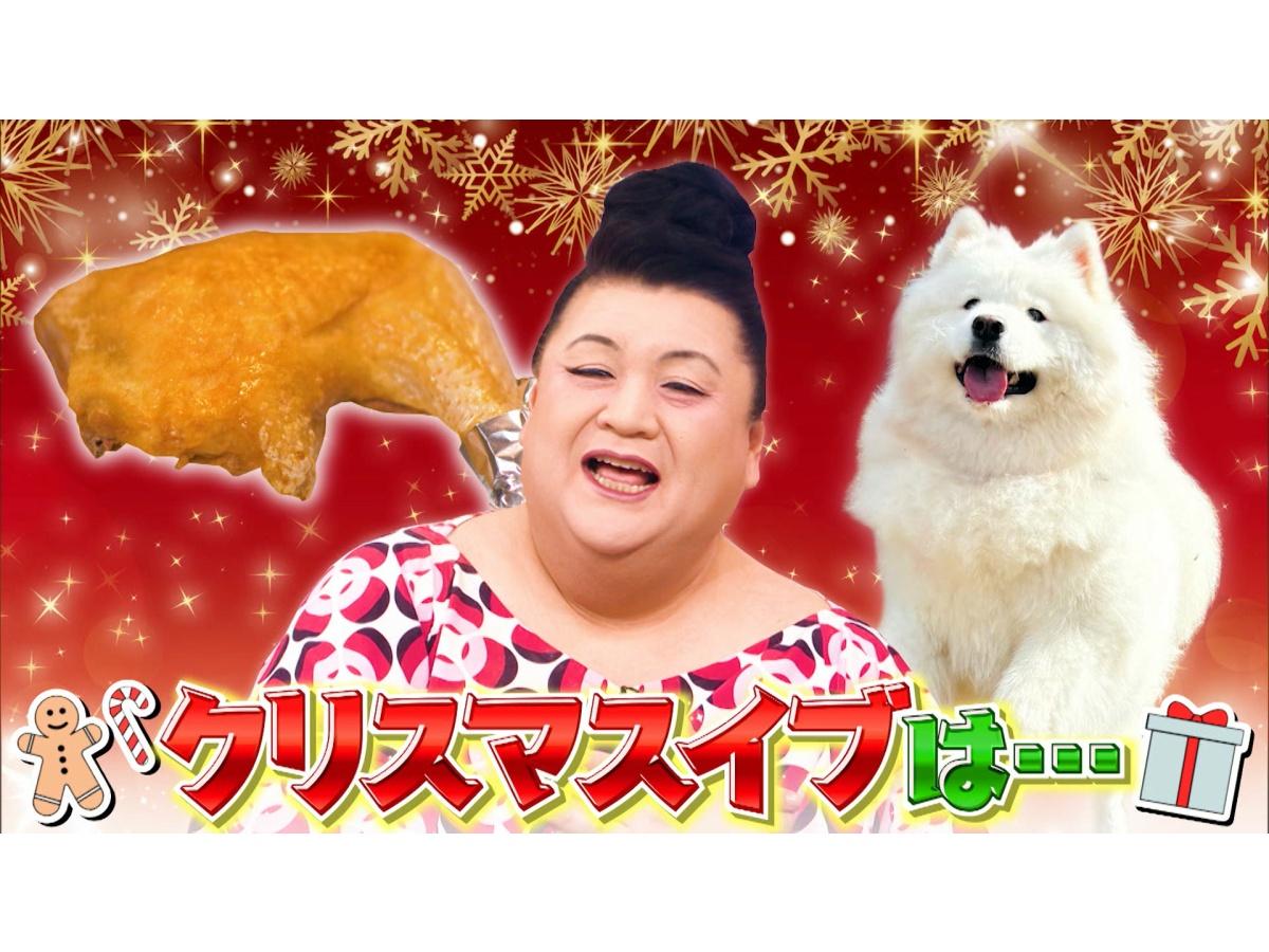 マツコの知らない世界　クリスマスSP★骨付きからあげ＆超話題もふもふ犬サモエド