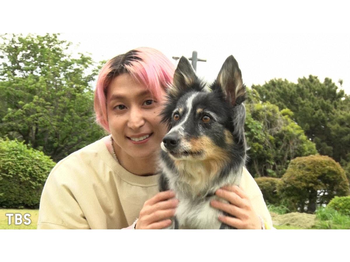 わんにゃん観察アニマリング☆スノーマン佐久間が5人に！スノ大好き犬本物見抜ける？