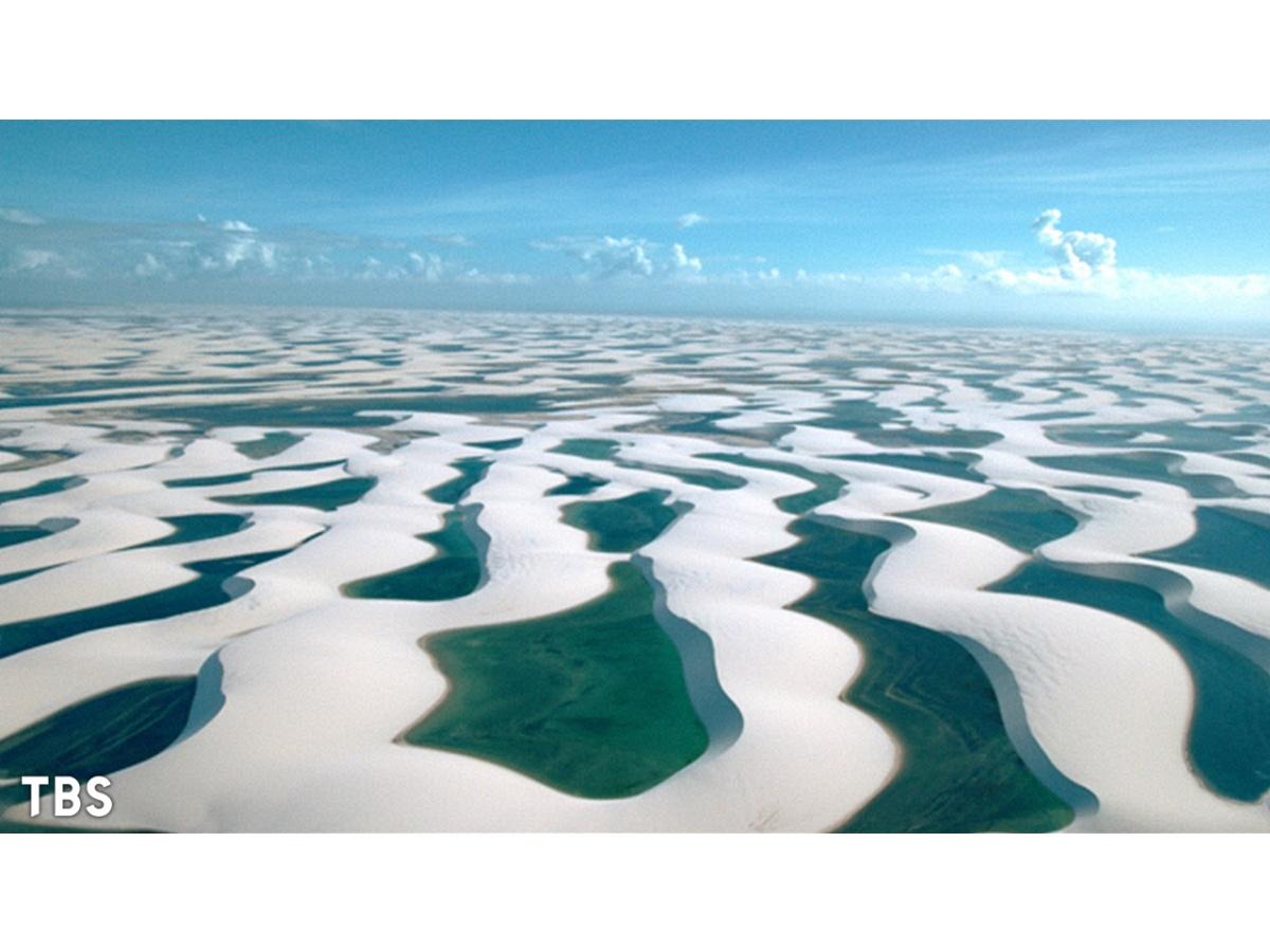 世界遺産「ベストショット2025」