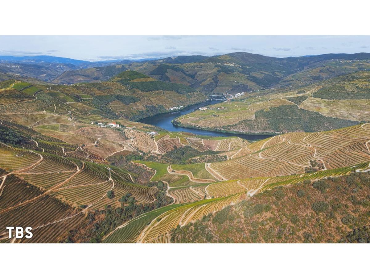 世界遺産〜ポルトガル／絶景のブドウ畑🈖🈑