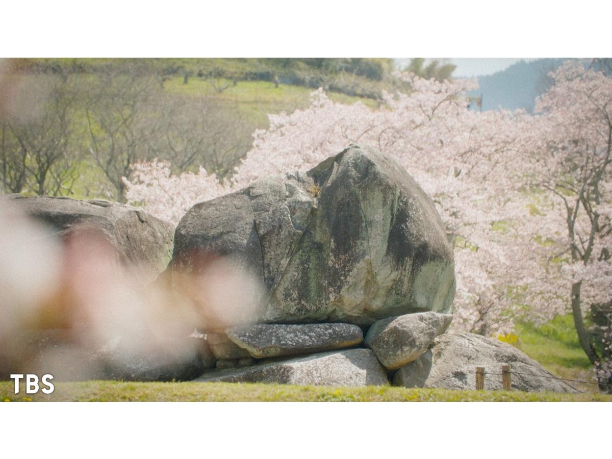 世界遺産／奈良「飛鳥・藤原の宮都」〜登録されたばかりの世界遺産🈖🈑