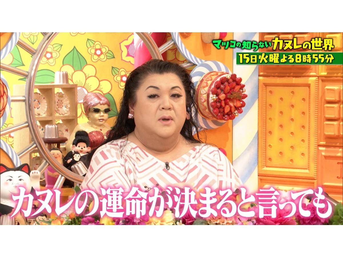 マツコの知らない世界🈖🈑【毎週火曜よる８時５５分！マツコ仰天！驚きの世界】