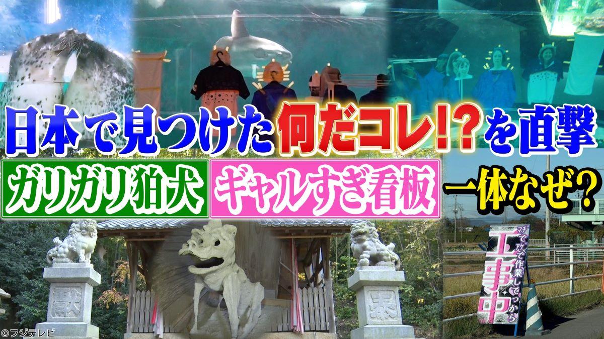 世界の何だコレ！？ミステリー▼日本のフシギ解明＆明智光秀の幻の城出現🈑