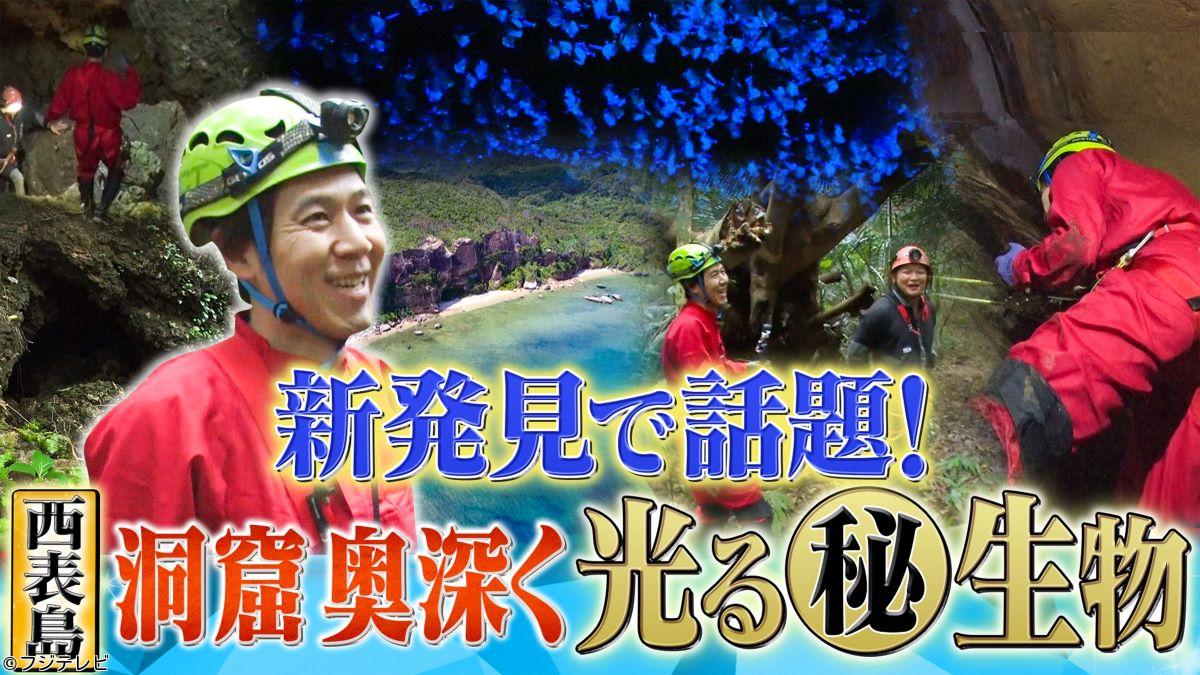 世界の何だコレ！？ミステリー▽専門家も驚いた！西表島で新発見の光る㊙生物🈑