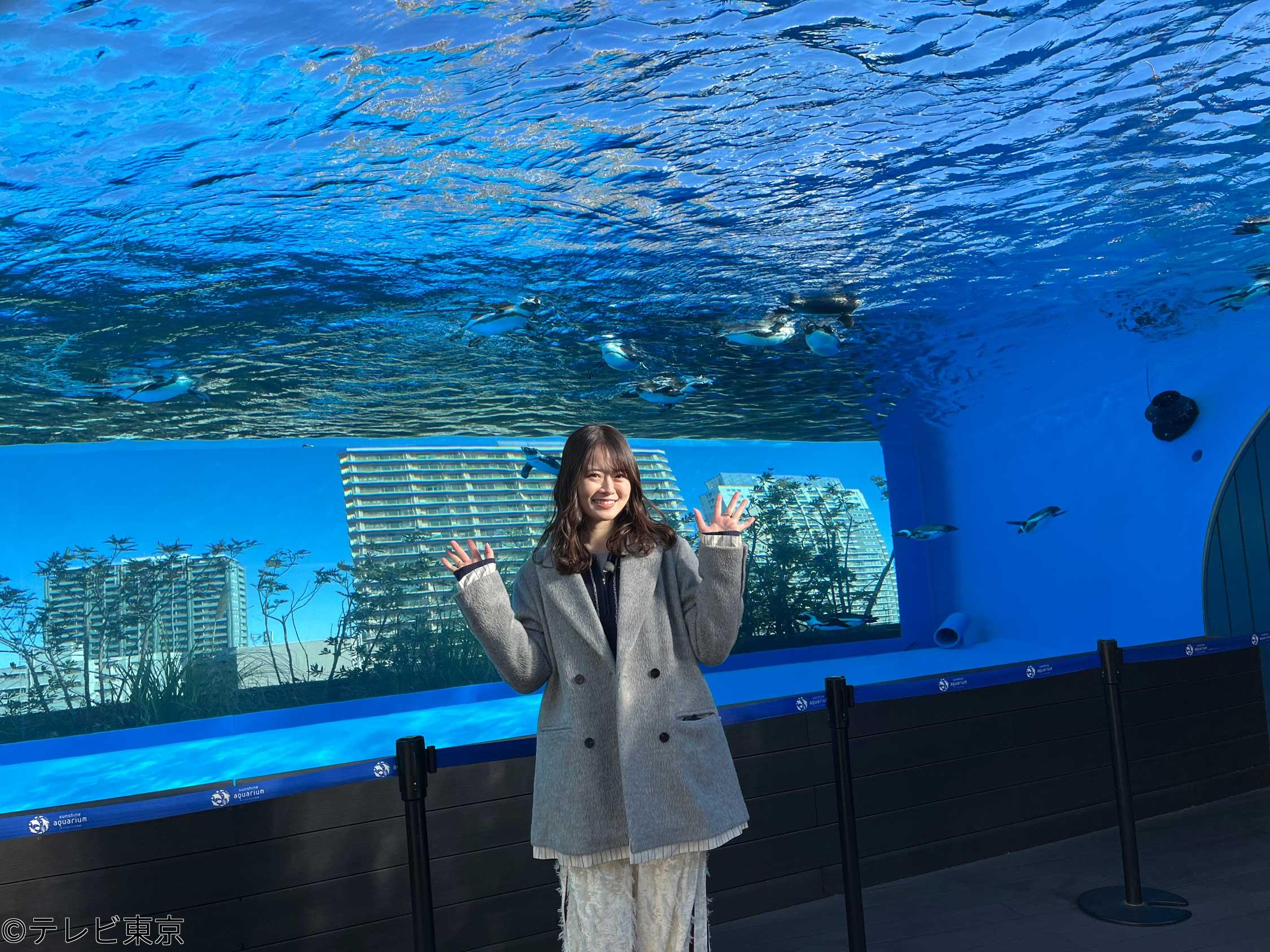 新美の巨人たち　ペンギンが空を飛ぶ「サンシャイン水族館」×山崎怜奈　🈑