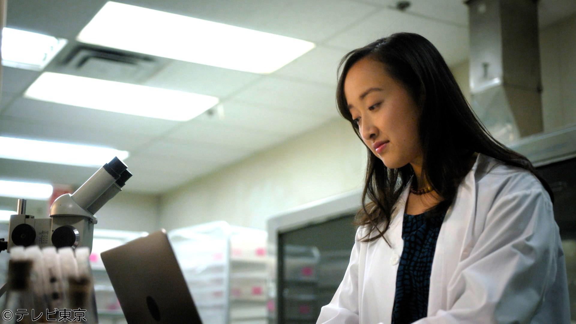 ㊙衝撃ファイル【超危険交通トラブル＆名門大学の医学院生惨殺事件SP】🈑