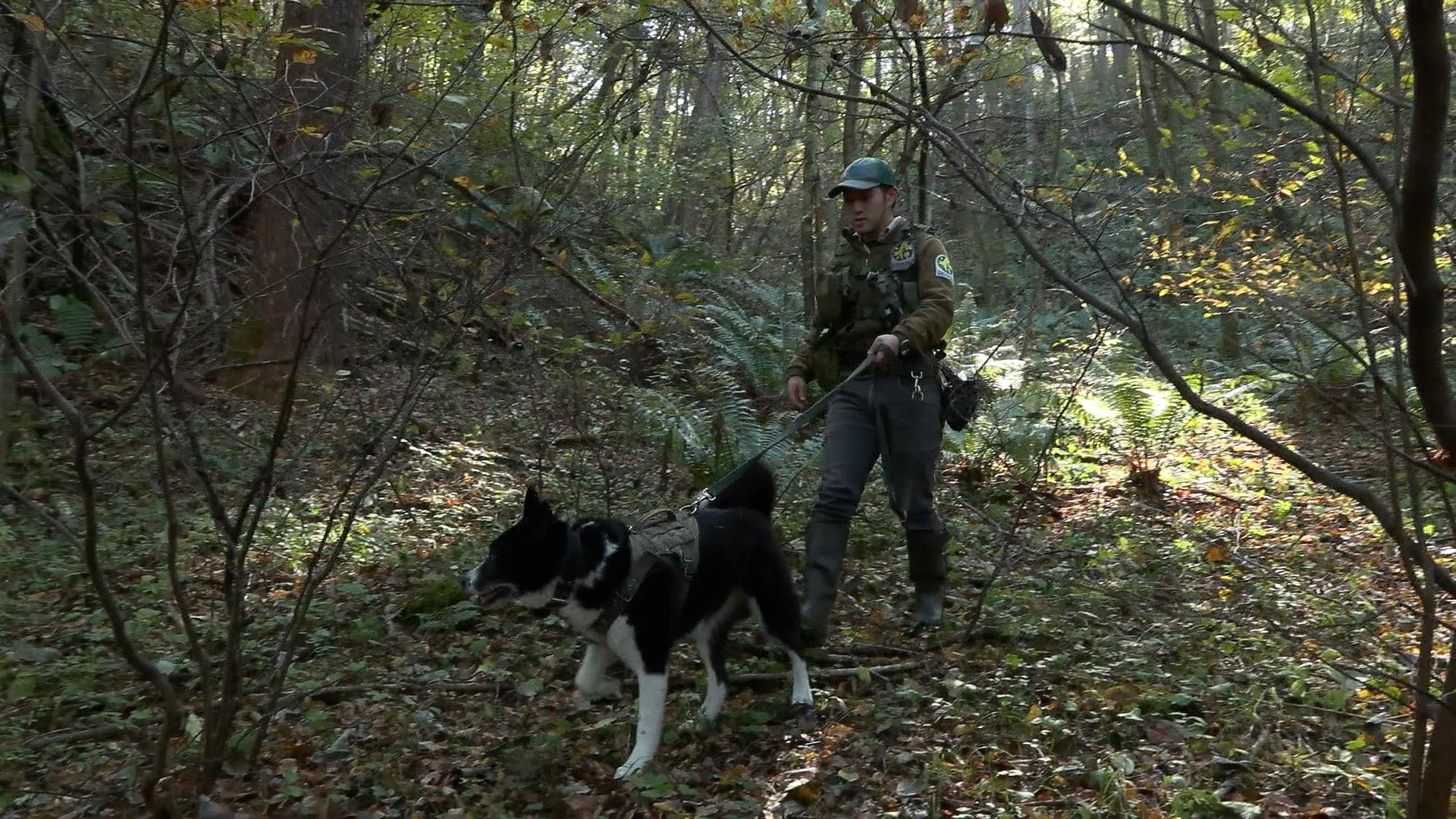 ガイアの夜明け【野生と共に生きる！〜駆除に頼らない観光地〜】🈑