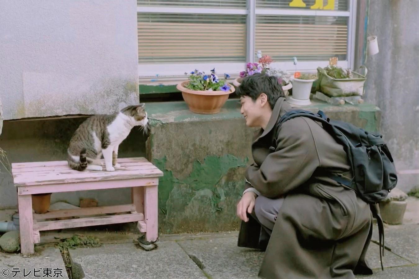 旅と僕と猫　第3話「銚子・女優と猫の海辺の休日」🈑