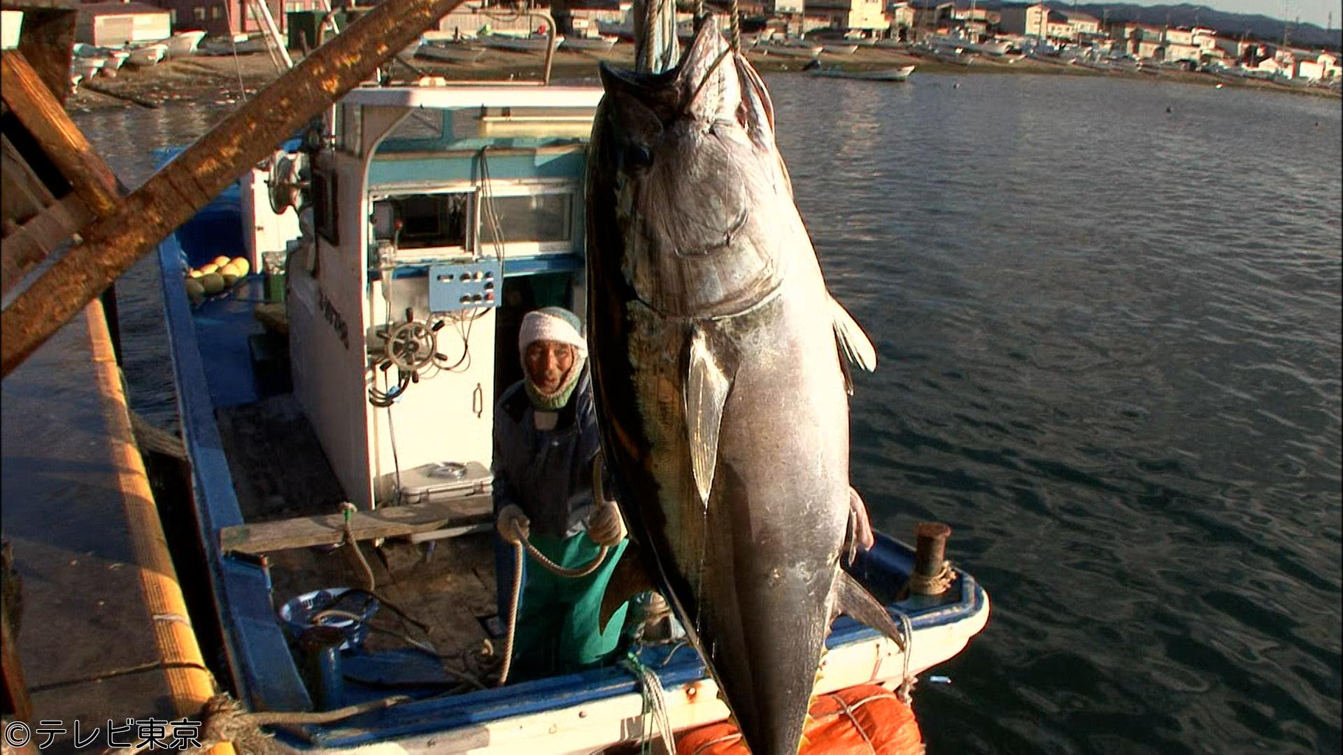 巨大マグロ戦争　追悼編★衝撃映像！お化けマグロvs時代を創ったレジェンド漁師SP🈑🈓