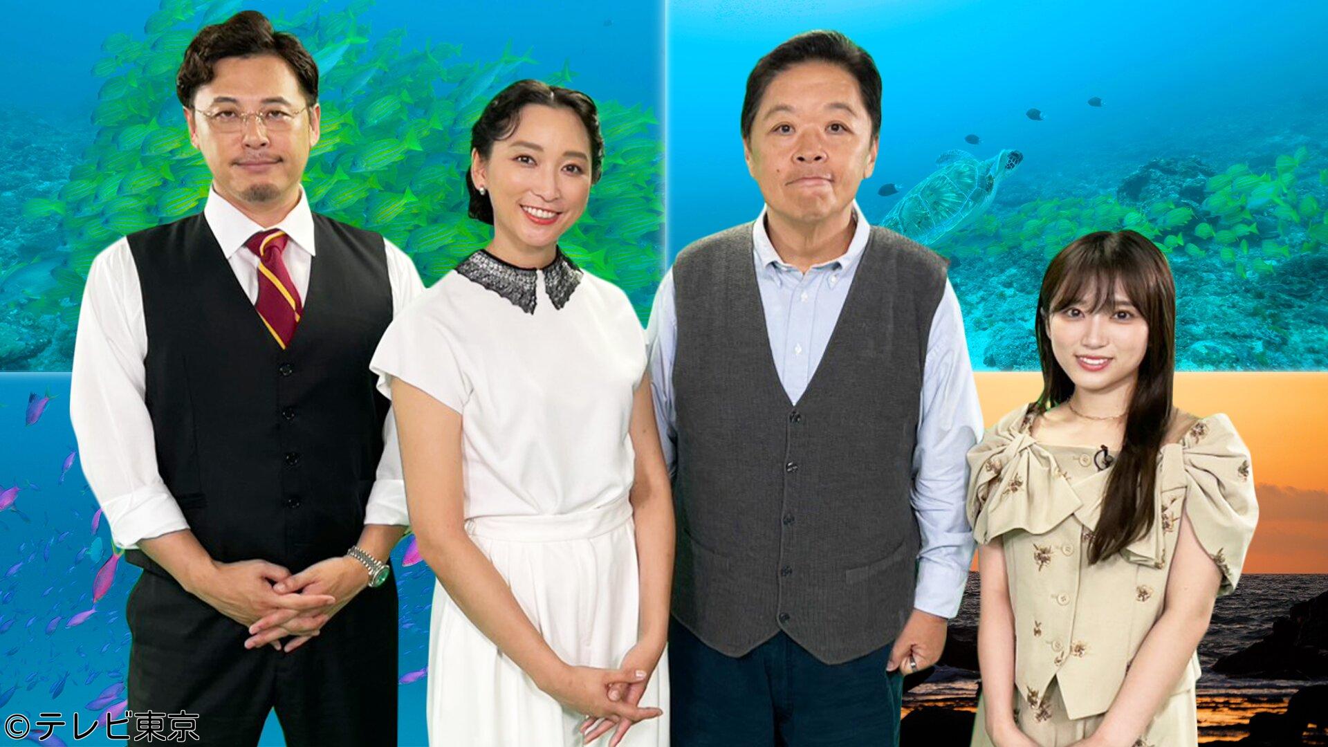 世界遺産に潜る！謎の生物＆不思議な絶景の連続…水中ミステリー探検にGO！🈑🈓